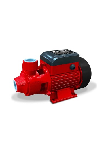 Rodex Rdx874 Su Pompası 750w