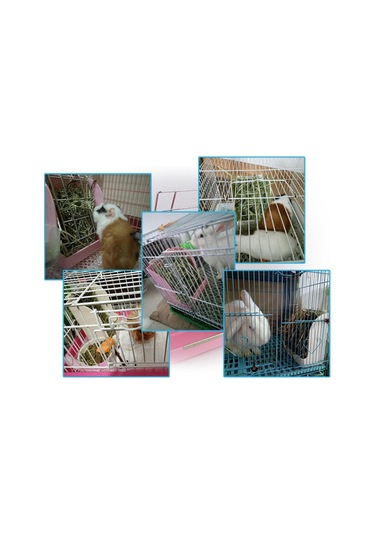 Suntek Otçul Beyaz Için Küçük Hayvan Asılı Saman Rafı