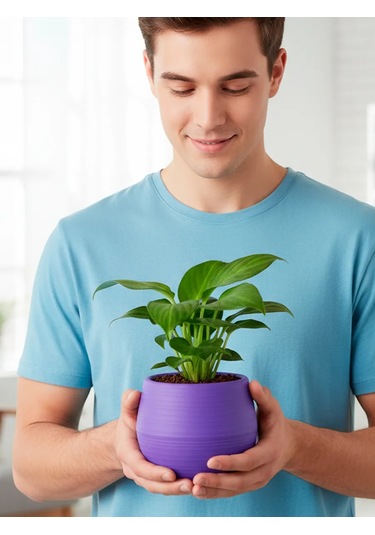 Saburg 3'lü Saksı Seti, Otomatik Sulamalı, 450 Ml 271400138