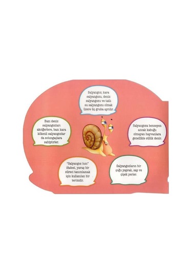 Şekilli Hayvanlar - Salyangoz- Parıltı Yayınları