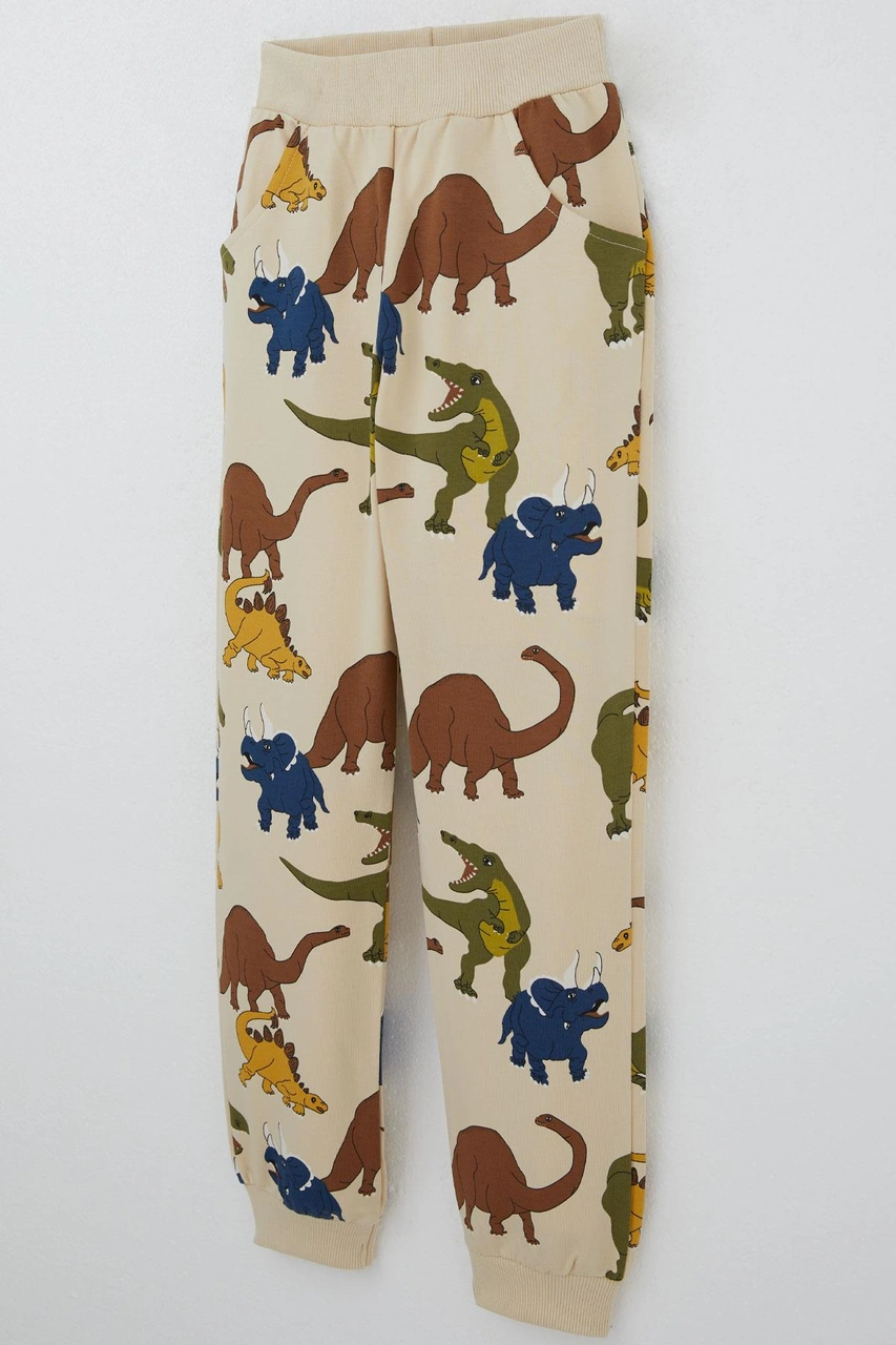 Breeze Erkek Çocuk Eşofman Takım Dinozorlar Alemi Desenli 4-8 Yaş, Bej Bej