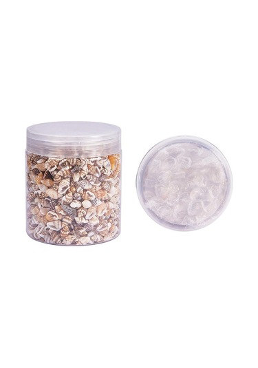 Suntek 1 Kutu Çok Çeşitli Doğal Kabuklu Kabukları Plaj Deniz