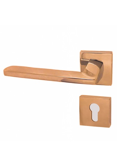 DOĞANLAR RADYA ALBİRİFİN  ROZETLİ SOL YALE KAPI KOLU