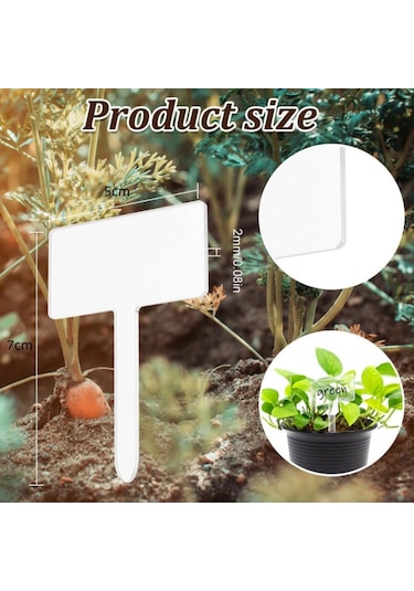 Suntek 24x Akrilik Bitki Etiketi Adı , Yeniden Kullanılabilir
