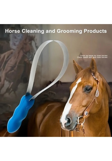 Elmpaly Mavi 2 Taraflı Evcil Hayvan Tüy Fırçası: Kedi Köpek At Taranması, Sağlıklı Tüy