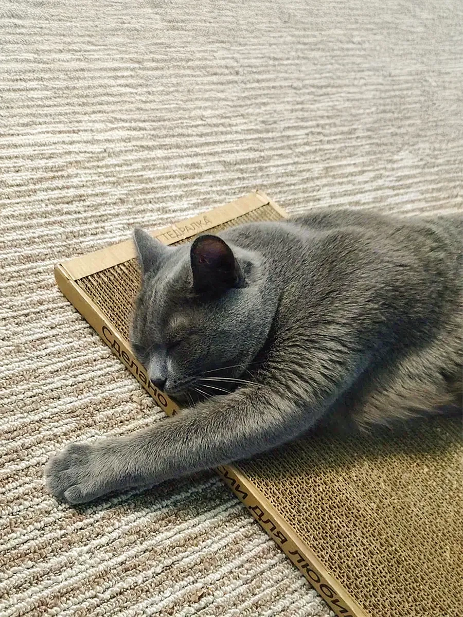 Kogtedralka Tekerleme Etkli Karton Kedi Tırmalama Tahtası, Yer Tipi Tırmalama Tahtası 23790688