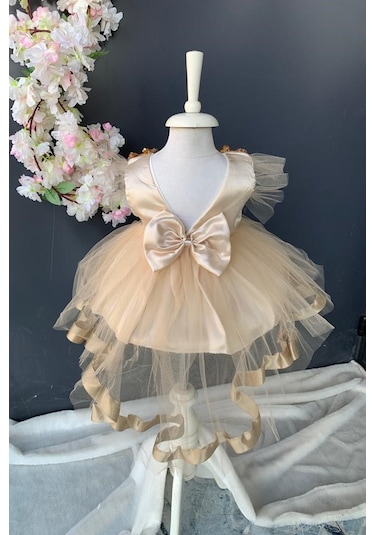 Pul Payet Fiyonklu Saten Kız Bebek Mevlütlük Elbise PNPN176