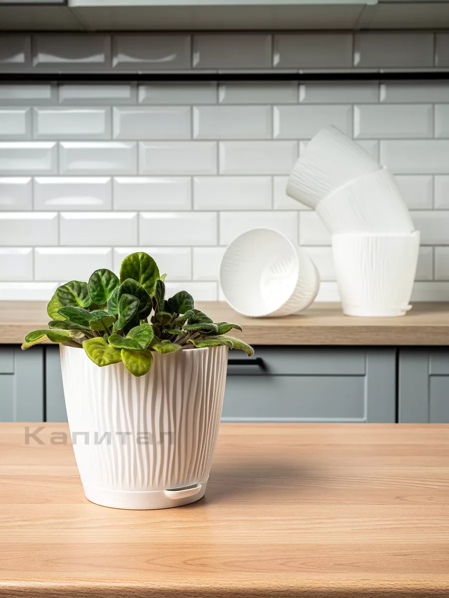 Al' Ternatıva Çiçek Saksısı 1.2l, 6 Adet 239823509