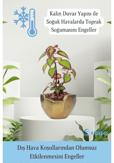 Saksı Çiçek Kaktüs Saksısı Lüx 15 Cm Gümüş Eskitme Varak Boyalı Önü Açık Desen Saksı Çiçeklik - Altın Eskitme