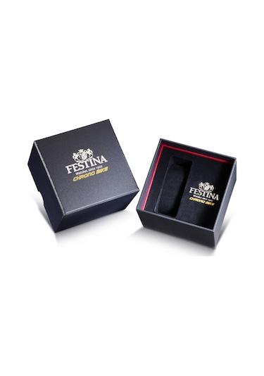 Festına F20641/3 Erkek Kol Saati