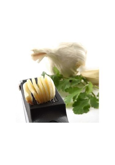 1149 Temizleyicili Sarımsak Ezici/dilimleyici, Siyah Çok Renkli