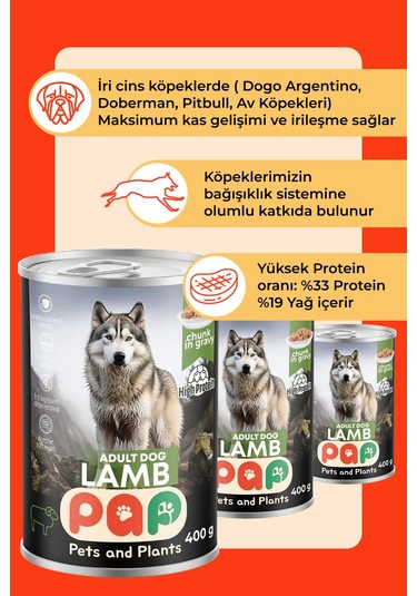 Pets And Plants Yüksek Proteinli Kuzu Etli Yetişkin Köpek Konservesi 12 x 400 G