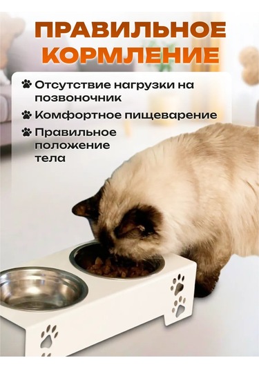 L.f.t. Küçük Irk Kediler Ve Köpekler İçin Ayaklı Çift Kase 399360132