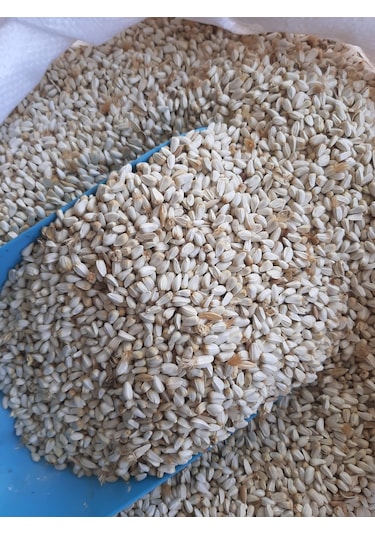 Mh Aspir Tohumu Güvercin Sultan Papağanı Yemi 4 KG