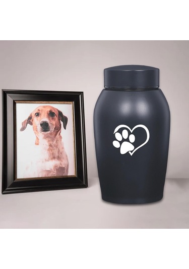 Homyl Paslanmaz Çelik Pet Urn Kremasyon 60 Lbs'ye Kadar Stil-a Altın