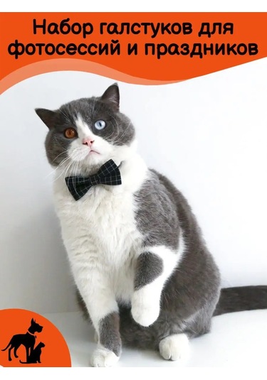 Tevdı Köpekler Ve Kediler İçin Papyonlu Klasik Kravat Seti - Aksesuar 153054584