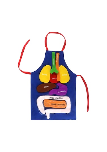 Suntek Dıy Organ Önlüğü Eğitim Aracı Önlük Mutfak