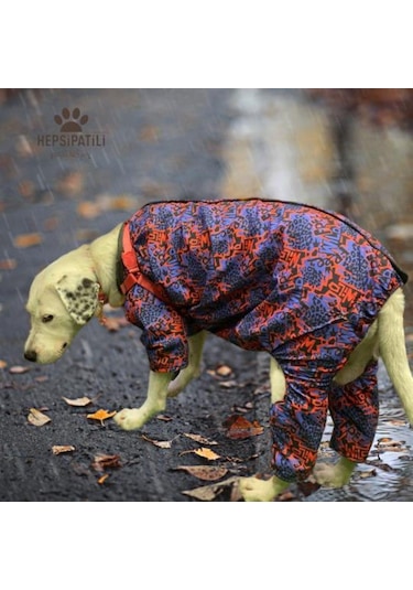 Alphadog Wild Polarlı Orta-büyük Irk Köpek Yağmurluk Tulumu
