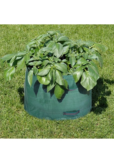 Symbee 63 Galon Pe Dokuma Bahçe Çanta, Sebze-bitki Yetiştirme Ve Yaprak Toplama Torbası