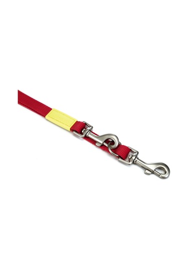 Beeztees Köpek Gezdirme Kayışı, Pembe, 200cm, 20mm Çok Renkli