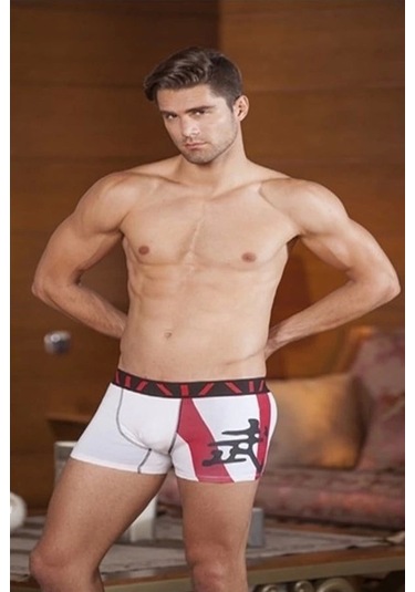 Berrak Modal Baskılı Boxer 1117 KARIŞIK