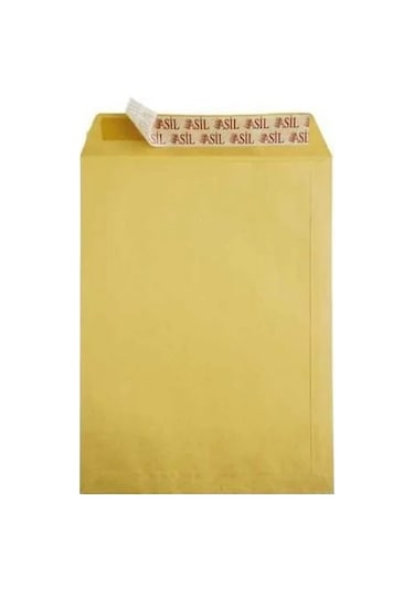 Asil Torba Zarf Formula 24 x 32 CM 100 GR 250 Adet