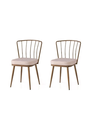 Erezogullari_Mobilya Modern Mutfak Cafe Bahçe Sandalyesi Buse 2 Li Set