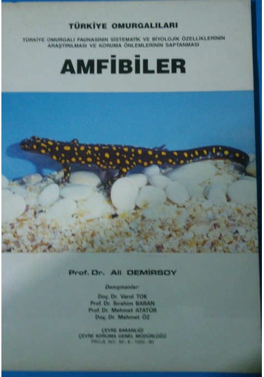 Amfibiler -türkiye Omurgalıları