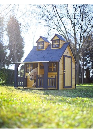 Mandu Ultra Lüks Ahşap Köpek Kulübesi Evi Gold Edition