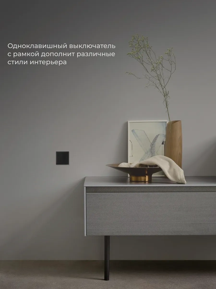 Laıtys Siyah Tek Tuşlu Anahtar 222747279