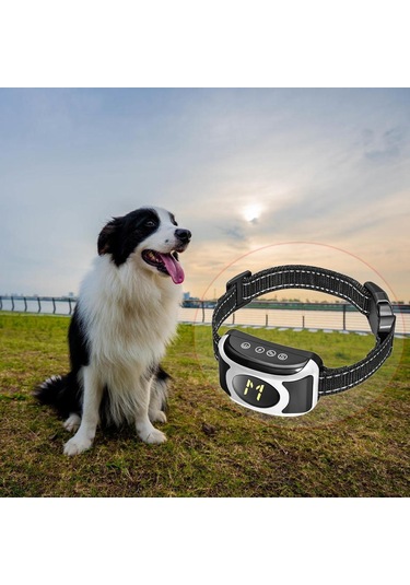 Homyl Köpek Şok Eğitim Tasması Su Geçirmez Şarj Edilebilir