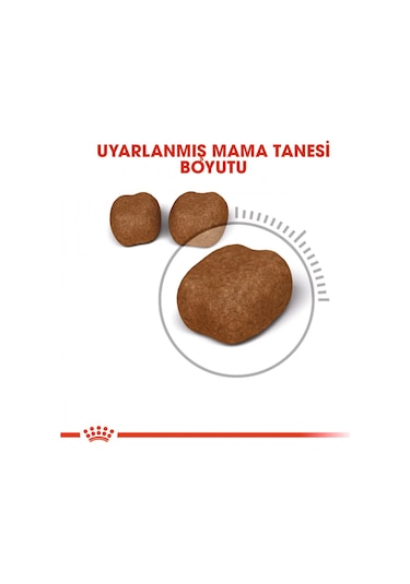 Royal Canin Oral Care Yetişkin Kedi Maması 1500 G