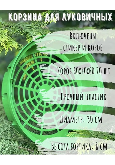 Domdacaogorod Soğanlı Bitkiler Ve Kelebek Yetiştirme Sepeti 171080130