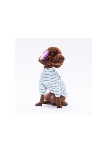 Yeşil Bear With Me Baskılı Triko Sweat Kedi Köpek Sweat Kedi Köpek Kıyafeti