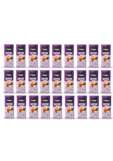 Cappy Karışık Meyve Nektarı 200 Ml X 27 Adet