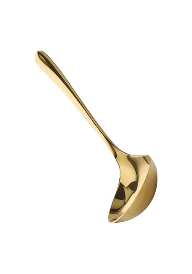 Xiyyadms 2 Adet Büyük Boy Altın Renkli Uzun Saplı Çorba Kaşığı Altın