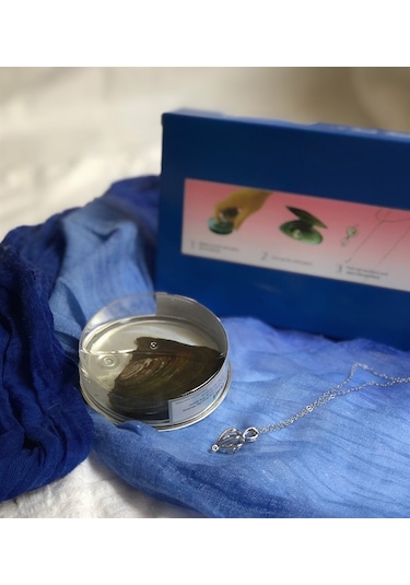 İstiridye İçinde Gerçek İnci Kolye 1260 Altın