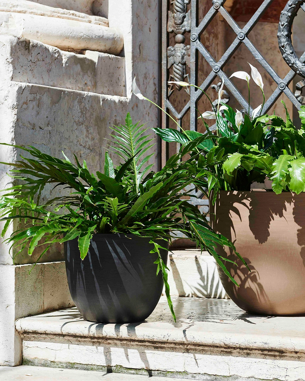 Over 38 Siyah Plastik Saksı + Su Seviyesi Göstergesi 38 Cm