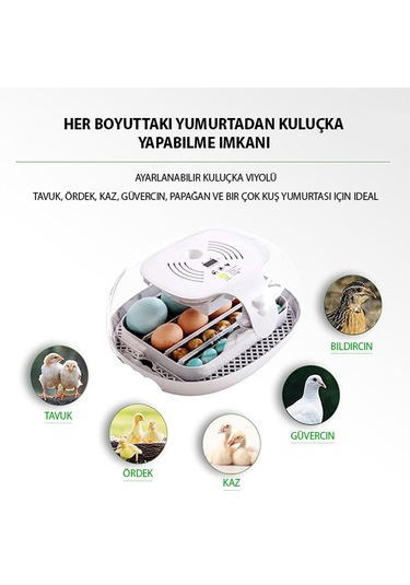 Altın Kuluçka-wonegg 16'lı Tam Otomatik Kuluçka Makinesi