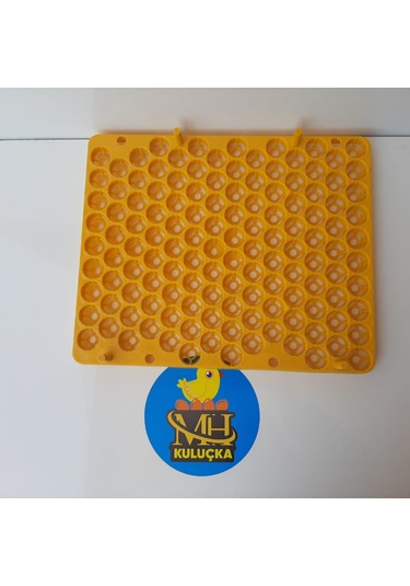 Bıldırcın Viyolü Kuluçka Makinesi Için 129 Yumurta 38x31