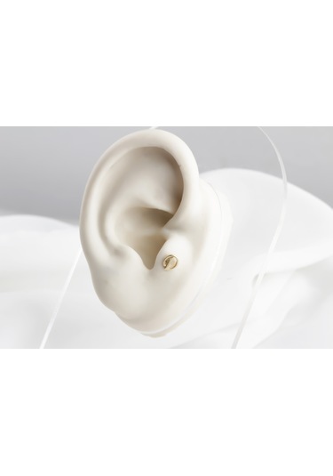 Glorria Altın D Harfi Tragus Piercing 87803336