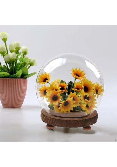 Novahub Temizle Cam Vitrin Noel Partisi Lehine Dekorasyon İçin Toz Geçirmez Kubbe Çiçek Konteyner 18cm
