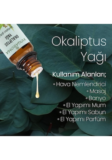 Npo Yogaroma Ferahlatıcı Aromaterapi 10ml Saf Ve Doğal Okaliptus Uçucu Yağ 10 ML