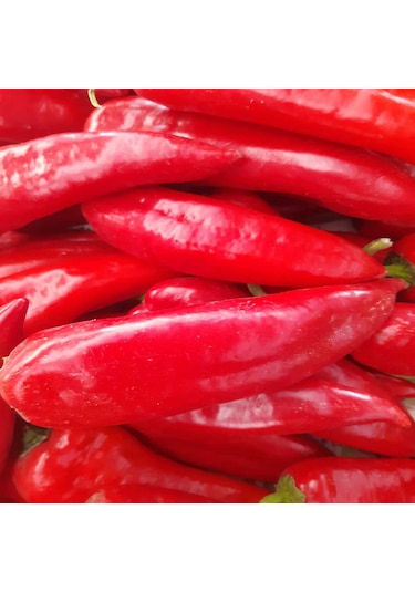 1 Kg Patlıcan 1 Kg Kapya Biber