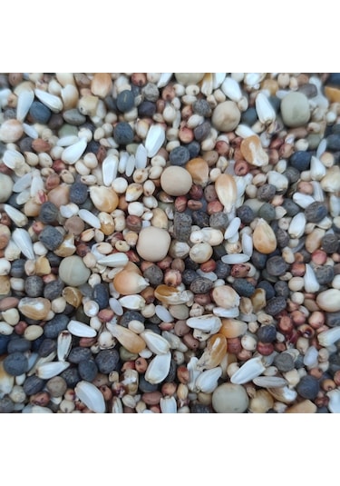 25kg Lüx Güverci̇n Yemi̇ -özel Üreti̇m