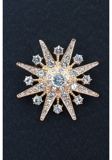 Gold Kar Tanesi Broş. Taşlı Tasarım Broş. Yaka İğnesi Broş. Kadın Broş. Erkek Broş. Broş. Unisex Gold