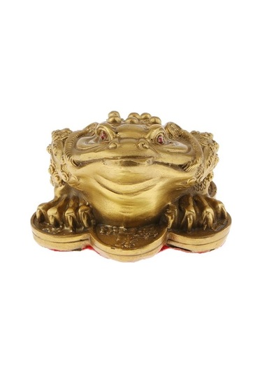 Trendooze Homyl Feng Shui Çin Zenginliği L L, Şanslı Para Talimatı L