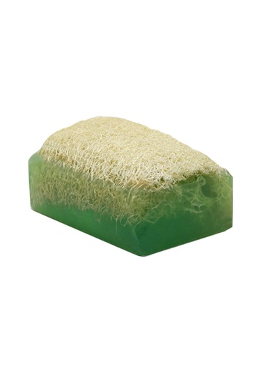 Doğal Kabak Lifli Alovera-Doğal Kabak Lifli  Keçi Sütlü Portakal