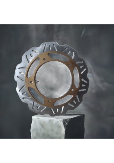 Aprılıa Srv 850 Arka Fren Diski Armbraking