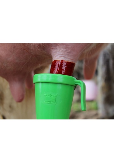 Royal Masdisin İobar İyotlu Sağım Sonra Meme Dezenfektanı 20Litre